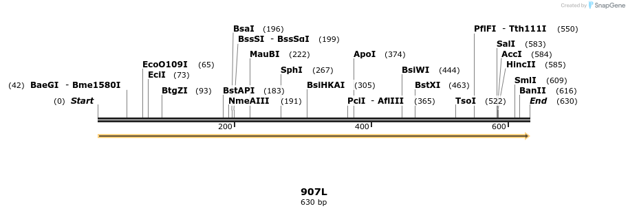 310291_map