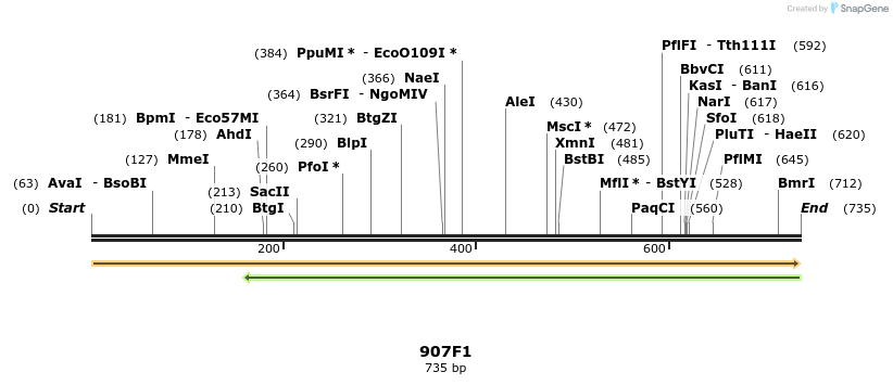 310292_map