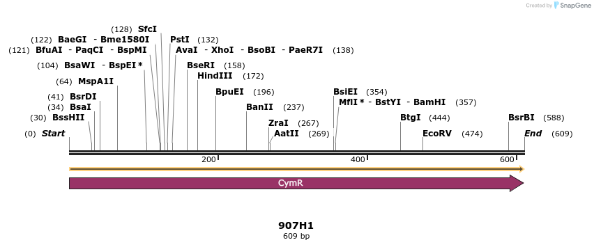 310293_map