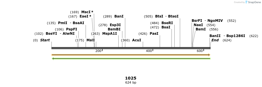 310294_map