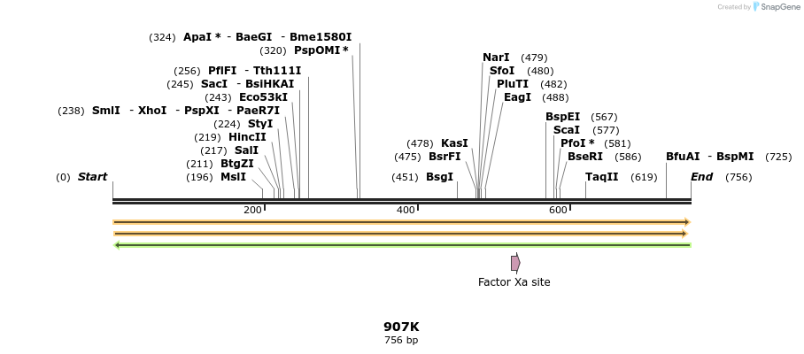 310295_map