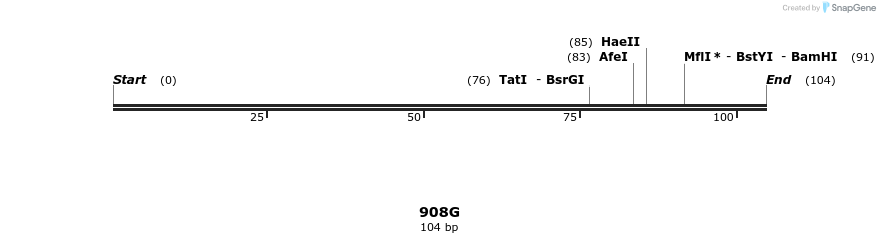 310299_map