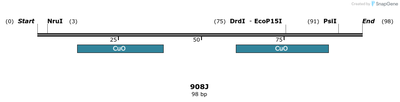 310305_map