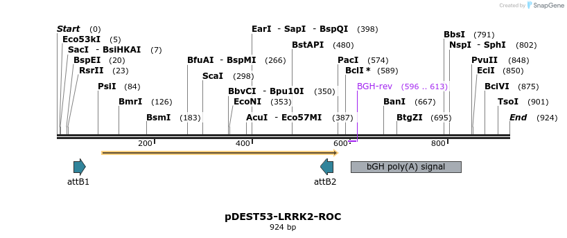 31031_map