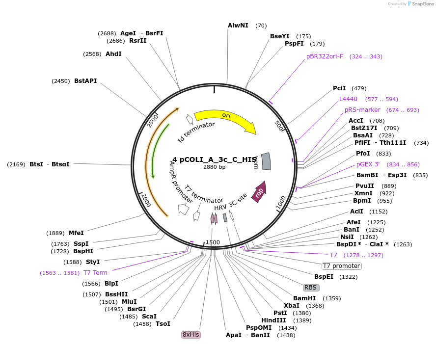 310312_map