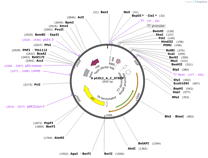 310313_map