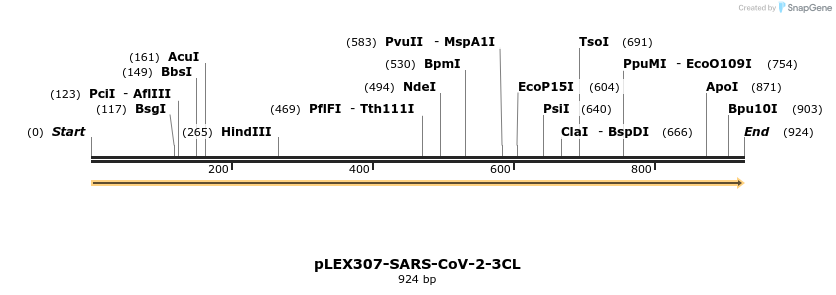 310360_map