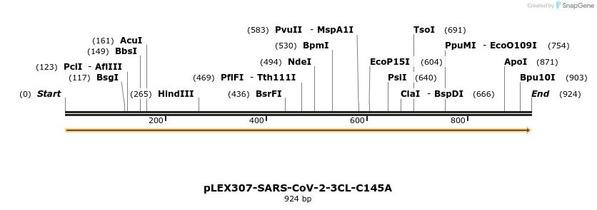 310361_map