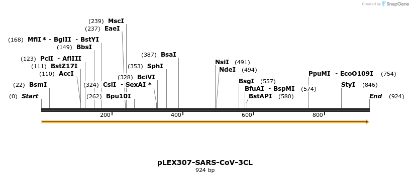 310362_map