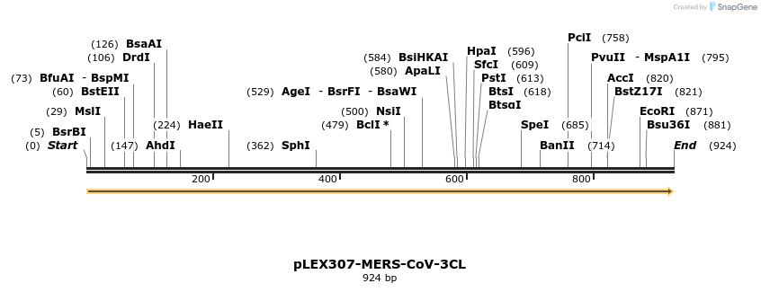 310364_map