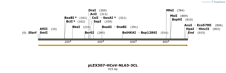 310368_map