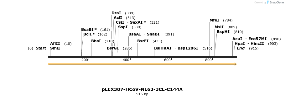 310369_map