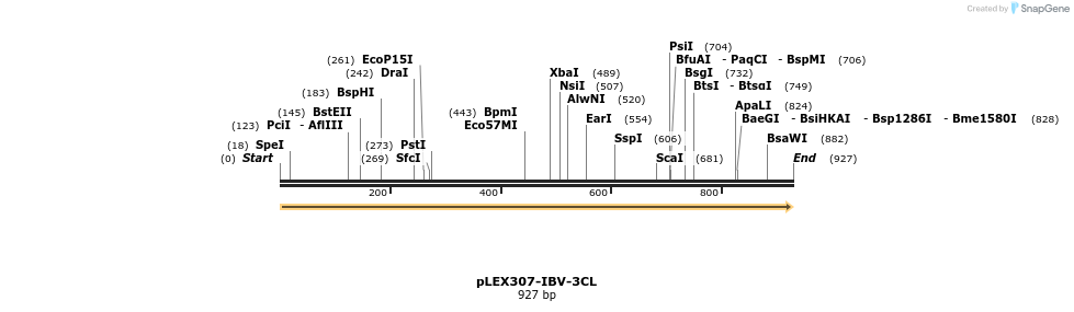 310370_map