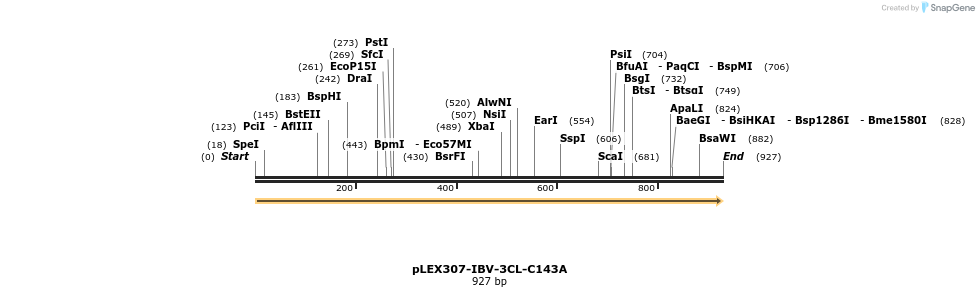 310371_map