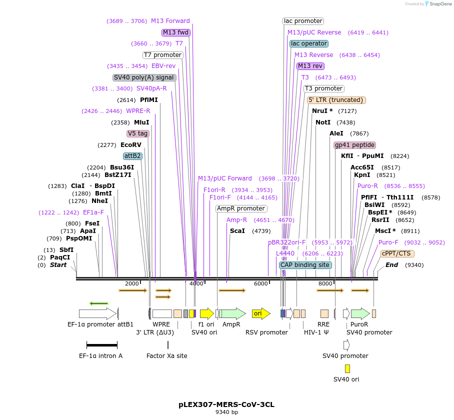 310377_map
