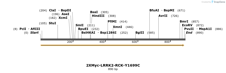 31038_map