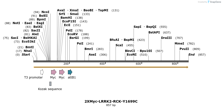 31039_map