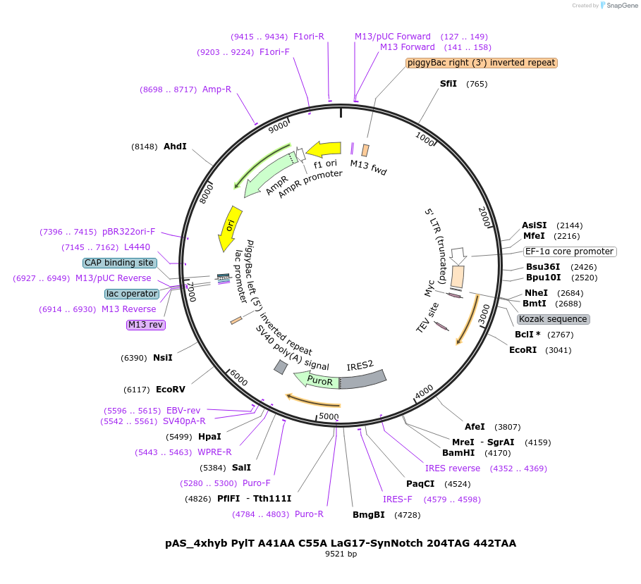 310404_map