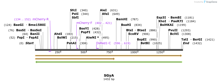 310412_map
