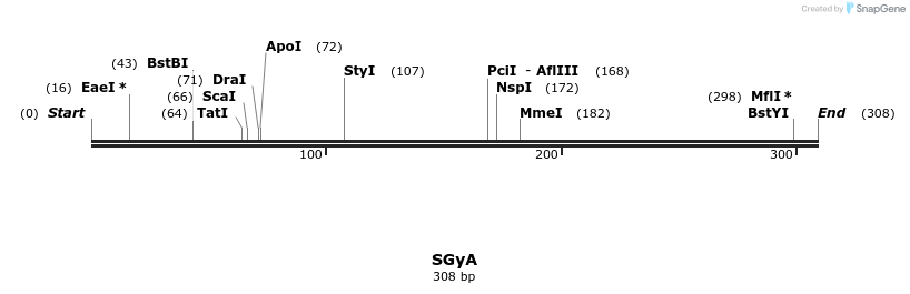 310413_map