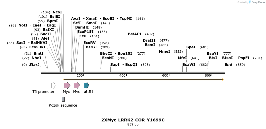 31042_map