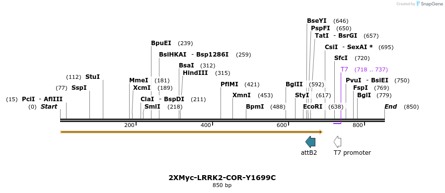 31043_map
