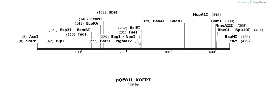 310470_map