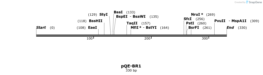310474_map