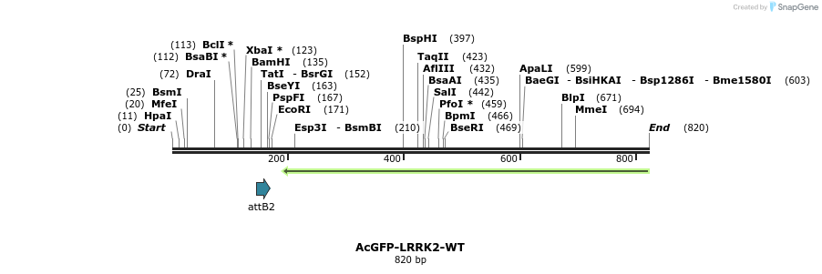 31048_map
