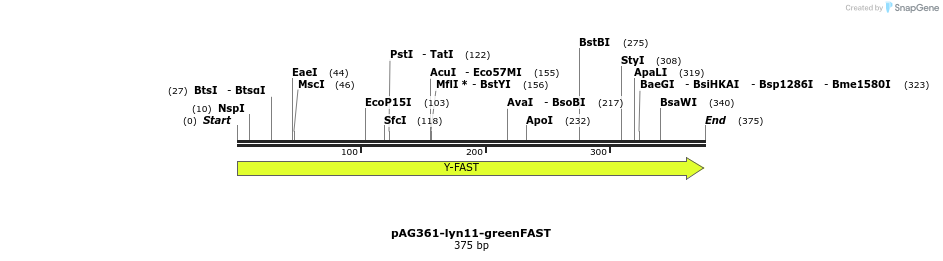 310492_map