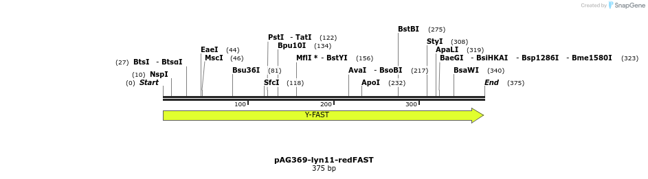 310499_map