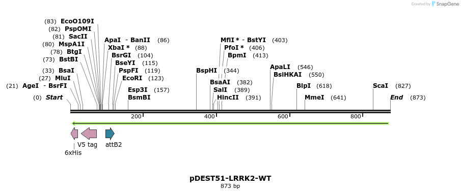 31050_map