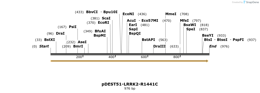 31051_map