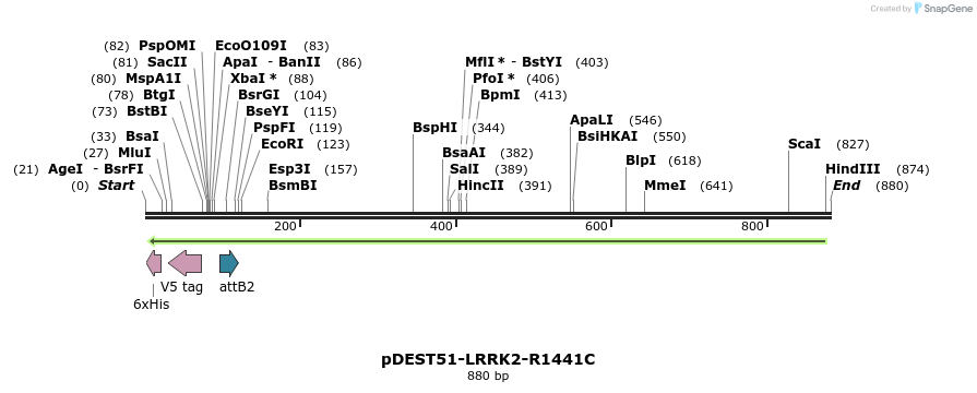 31052_map