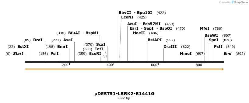 31053_map