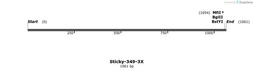 310536_map