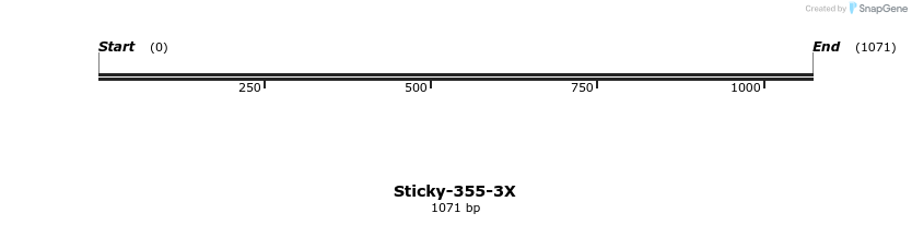 310537_map