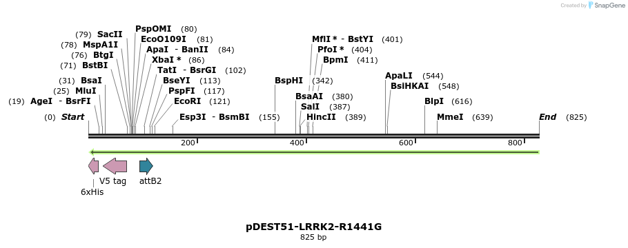 31054_map