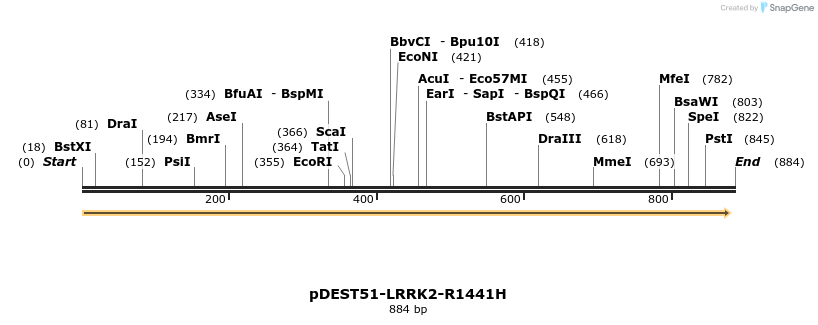 31055_map