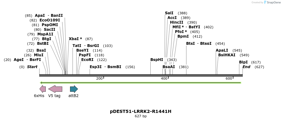 31056_map