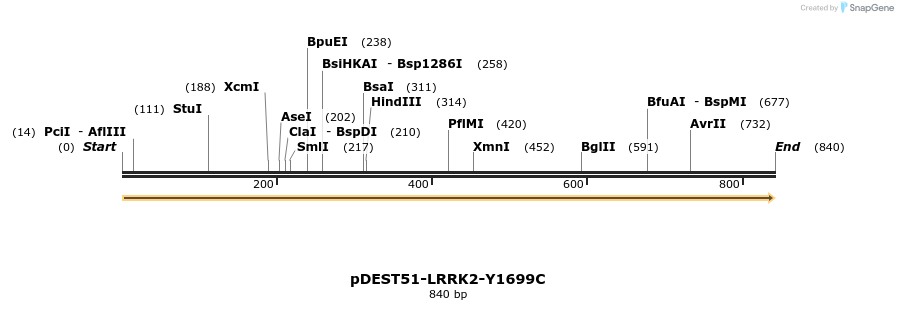 31057_map