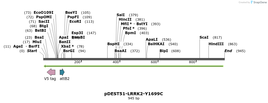 31058_map