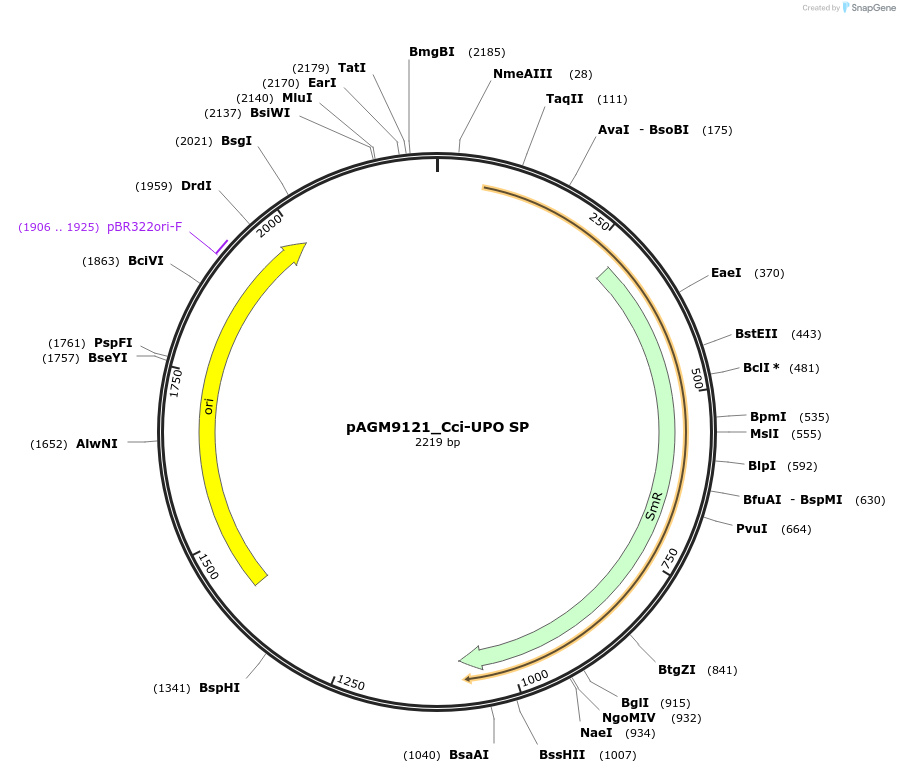 310584_map