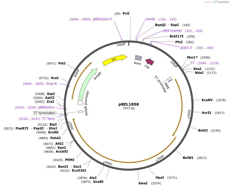 310590_map