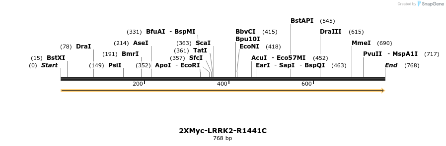 31063_map