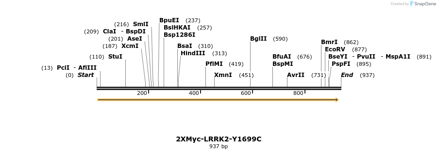31065_map