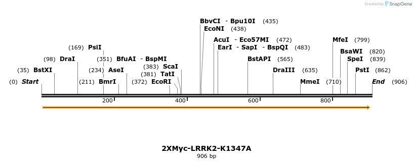 31067_map