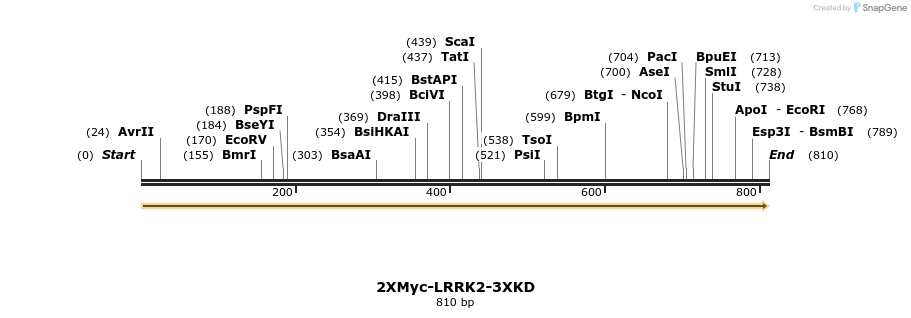 31068_map