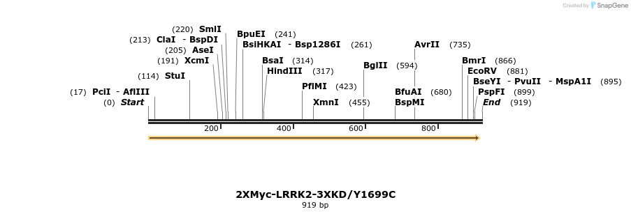 31070_map