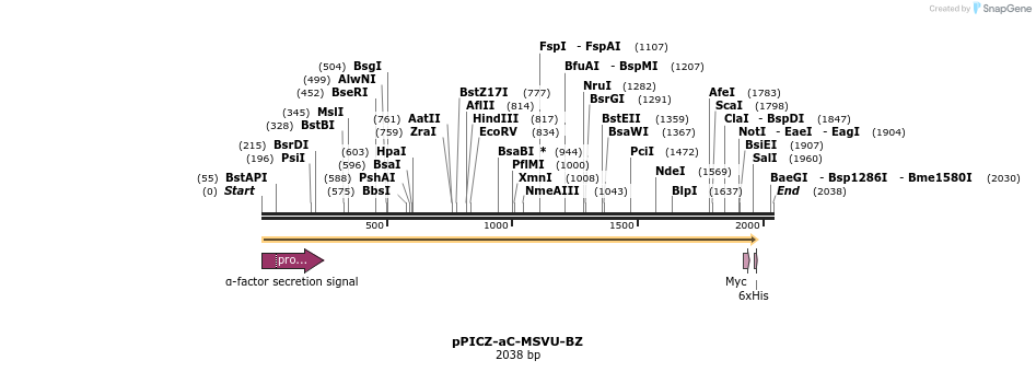 310709_map